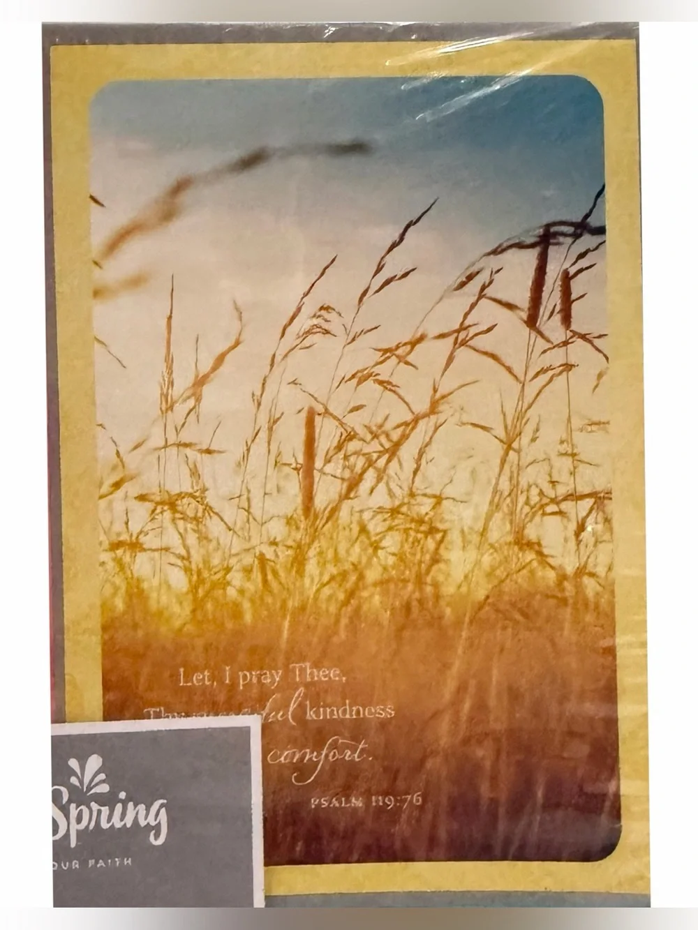3/$10 DaySpring Praying for You 12 Assorted Cards Religious